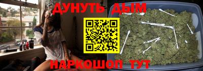 спиды Новозыбков