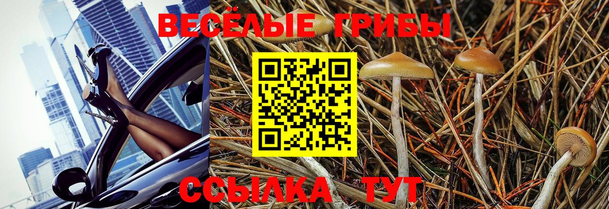 Сургут  Псилоцибиновые грибы прущие грибы  Вход с VPN 